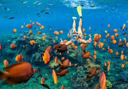 Acropolis, Parthenon, Plaka District Athens Tour